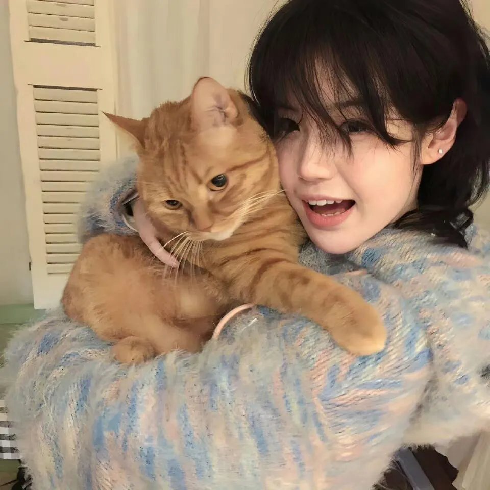金药局的女儿们